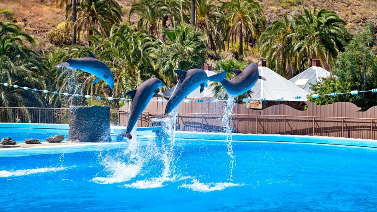 Апартаменты El Nido De Los Angeles Плайя-дель-Инглес Экстерьер фото